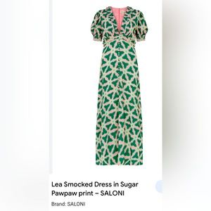 NWT Saloni Dress